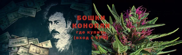 шишки Арсеньев