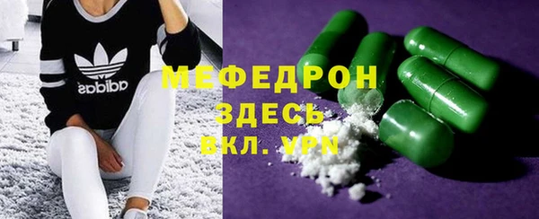шишки Арсеньев