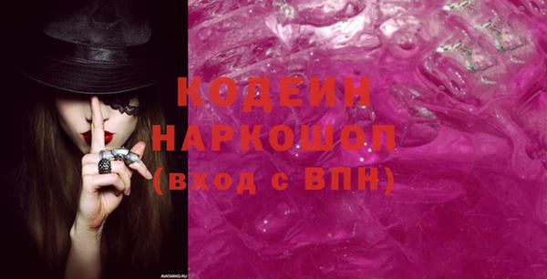 шишки Арсеньев