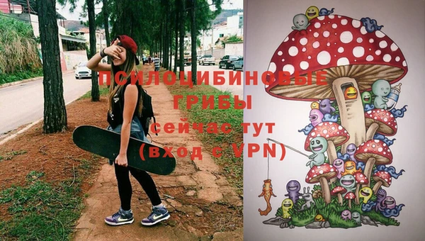 apvp Армянск