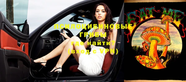 прущие грибы Осинники
