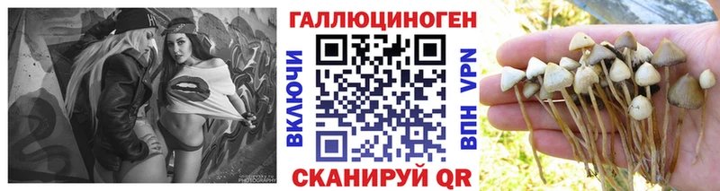 Псилоцибиновые грибы GOLDEN TEACHER  Сухиничи 